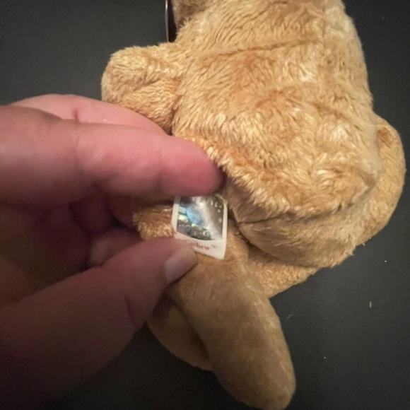 Ty Beanie Baby - 2000 ~ Cashew The Bear, MWMT'S, Rare, Errors - Picture 4 of 6